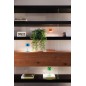 ZAFFERANO Olivia Mini Lampa dotykowa LED 22cm - pomarańczowa ZAFFERANO Olivia Mini Lampa dotykowa LED 22cm - pomarańczowa