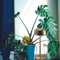ZAFFERANO Sister Lampa dotykowa LED 38cm - zielona Wi-Fi ZAFFERANO Sister Lampa dotykowa LED 38cm - zielona Wi-Fi