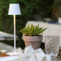 ZAFFERANO Poldina PRO MICRO Lampa dotykowa LED 27,5cm - czerwona ZAFFERANO Poldina PRO MICRO Lampa dotykowa LED 27,5cm - czerwona