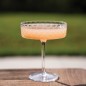 ZAFFERANO Mixology Kieliszek płaski 250 ml/4szt ZAFFERANO Mixology Kieliszek płaski 250 ml/4szt