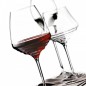 ZAFFERANO Esperienze Kieliszek do szampana 380 ml/2szt ZAFFERANO Esperienze Kieliszek do szampana 380 ml/2szt