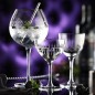 UTP Raffles Vintage Gin Kieliszek 560 ml 6szt UTP Raffles Vintage Gin Kieliszek 560 ml 6szt