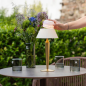 ZAFFERANO Flamina Lampa dotykowa LED - złota 12,x32 cm ZAFFERANO Flamina Lampa dotykowa LED - złota 12,x32 cm