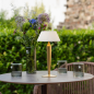 ZAFFERANO Flamina Lampa dotykowa LED - złota 12,x32 cm ZAFFERANO Flamina Lampa dotykowa LED - złota 12,x32 cm