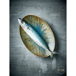 F2D HALO FOREST Porcelana gastronomiczna