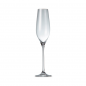 SP Cuvee Kieliszek do szampana 210 ml - 6 szt SP Cuvee Kieliszek do szampana 210 ml - 6 szt