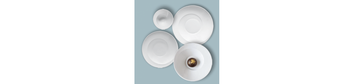 Kolekcja porcelanowej zastawy stołowej Linneo Ammonites Porvasal